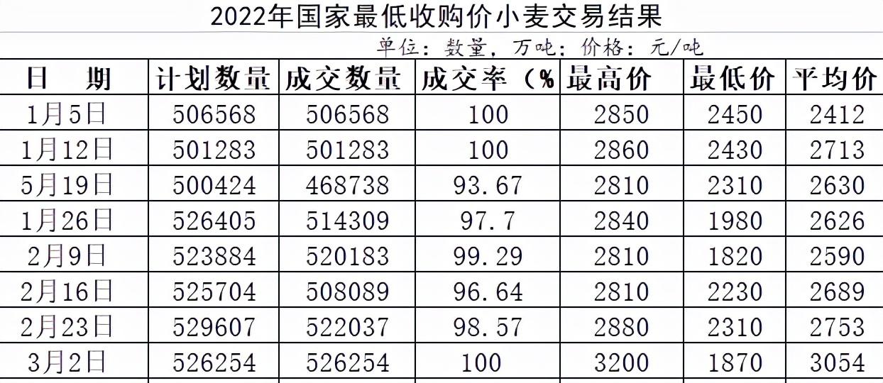 小麦价格最新行情分析，市场波动背后的原因与未来趋势预测