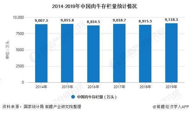 最新肉牛信息，行业趋势、养殖技术与管理策略