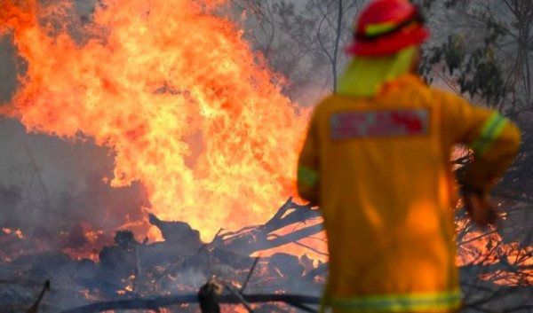 加州山火肆虐不止，外媒爆料：洛杉矶男子涉纵火被捕