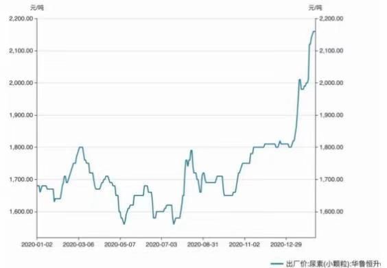 最新粮食价格，全球趋势、影响因素及未来展望